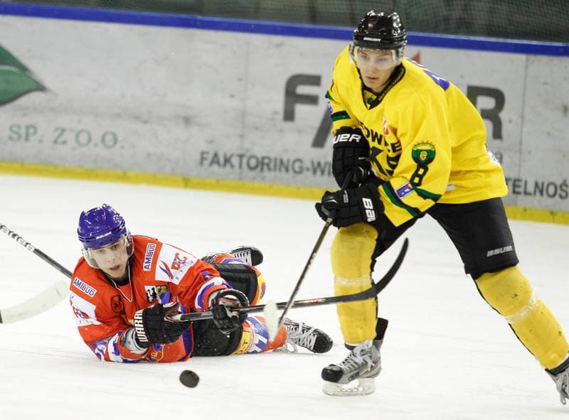 Ice Hockey. Polska Hokej Liga. HC GKS Katowice - Polonia Bytom. 26.01.2014