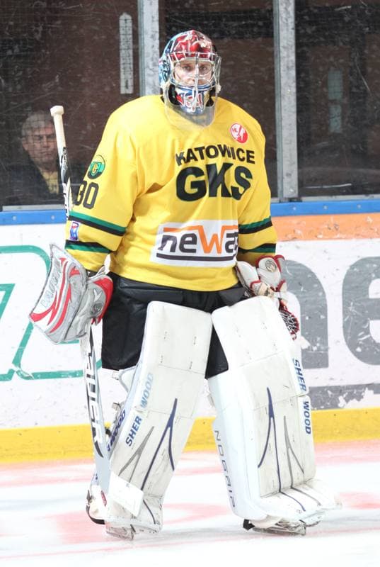 Ice Hockey. Polska Hokej Liga. HC GKS Katowice - Polonia Bytom. 26.01.2014