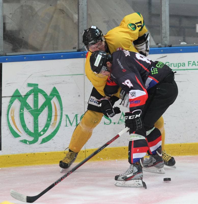 Ice Hockey. Polska Hokej Liga. HC GKS Katowice - Ciarko KH Sanok. 17.01.2014