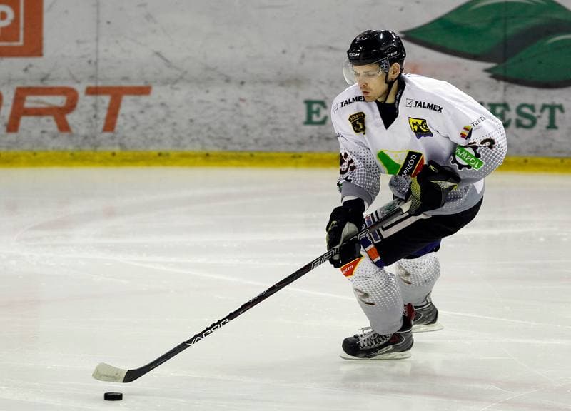 Ice Hockey. Tauron Hokej Liga. Naprzod Janow - Podhale Nowy Targ. 14.11.2014
