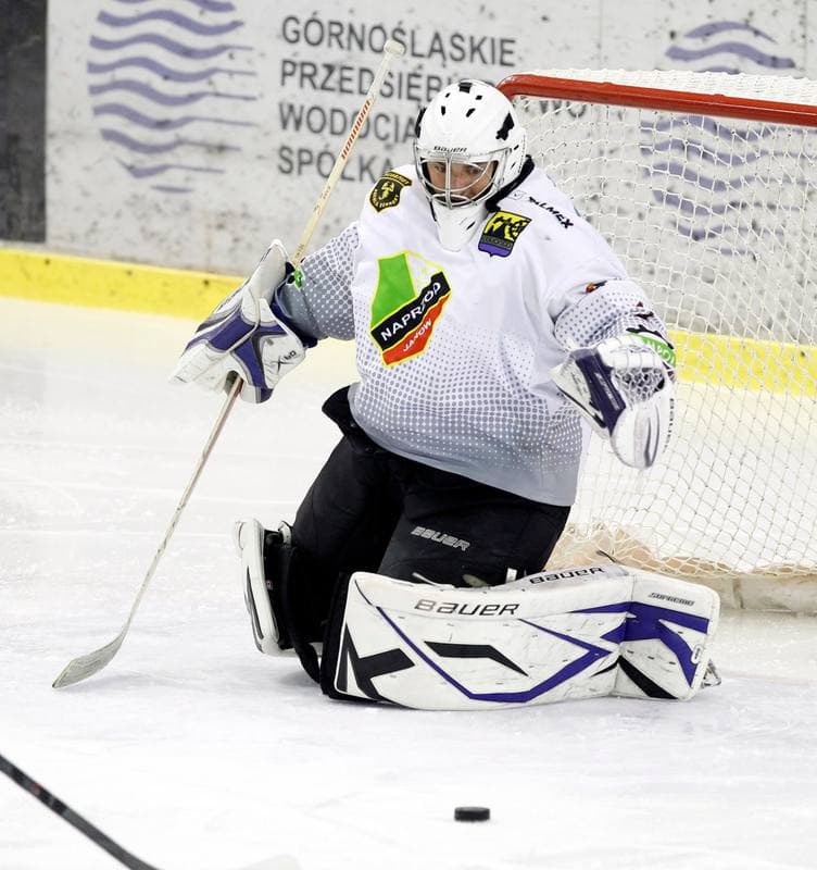 Ice Hockey. Tauron Hokej Liga. Naprzod Janow - Podhale Nowy Targ. 14.11.2014