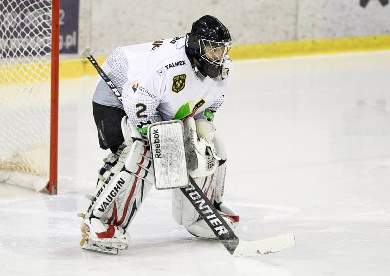 Ice Hockey. Tauron Hokej Liga. Naprzod Janow - Podhale Nowy Targ. 14.11.2014