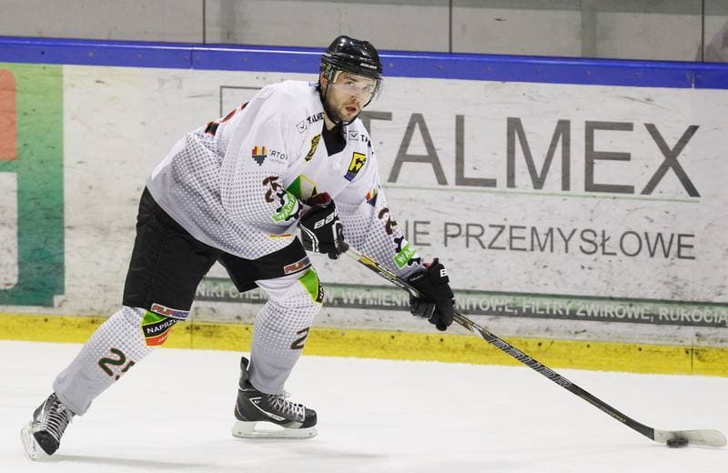 Ice Hockey. Tauron Hokej Liga. Naprzod Janow - Podhale Nowy Targ. 14.11.2014