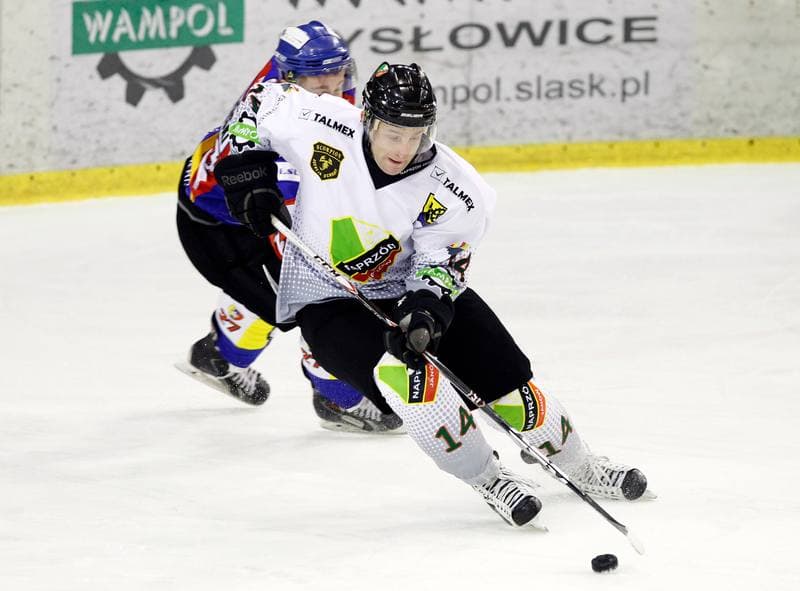 Ice Hockey. Tauron Hokej Liga. Naprzod Janow - Podhale Nowy Targ. 14.11.2014