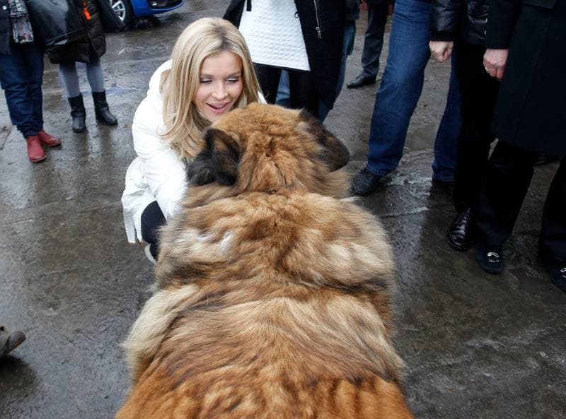 Joanna Krupa. Animal Shelter. Visit. 30.11.2013
