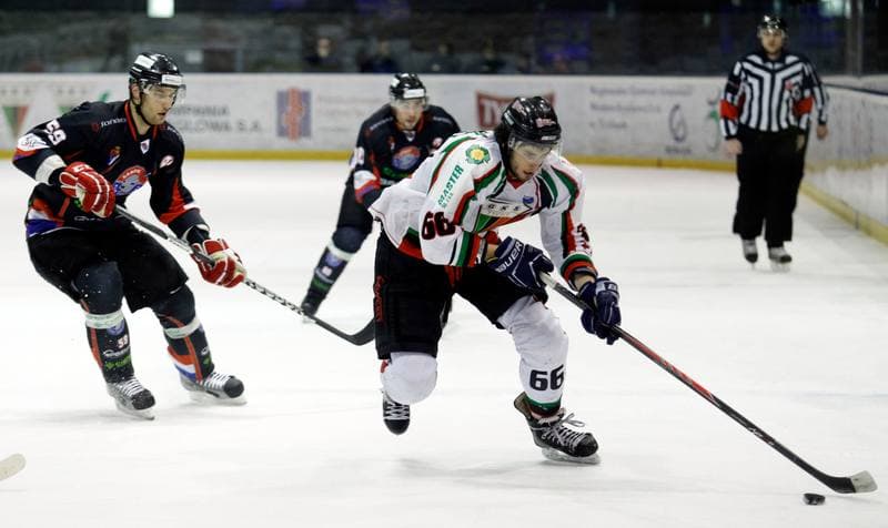 Ice Hockey. Polska Hokej Liga. GKS Tychy - Ciarko KH Sanok. 23.01.2015