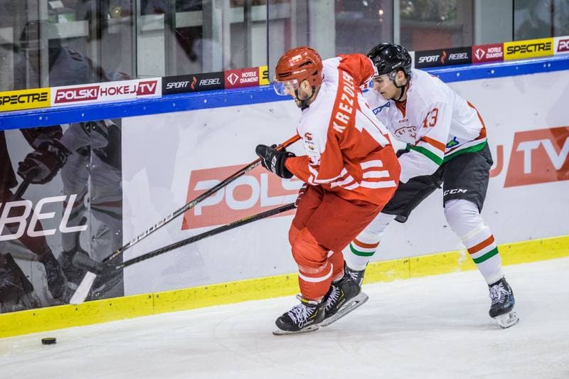 Ice Hockey. Friendly International Match. Poland - Hungary. 17.12.2020