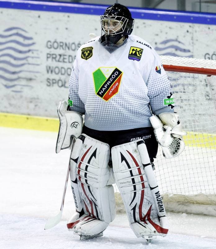 Ice Hockey. Polska Hokej Liga. Naprzod Janow - Ciarko KH Sanok. 18.01.2015