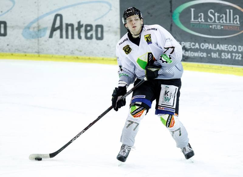 Ice Hockey. Polska Hokej Liga. Naprzod Janow - Ciarko KH Sanok. 18.01.2015
