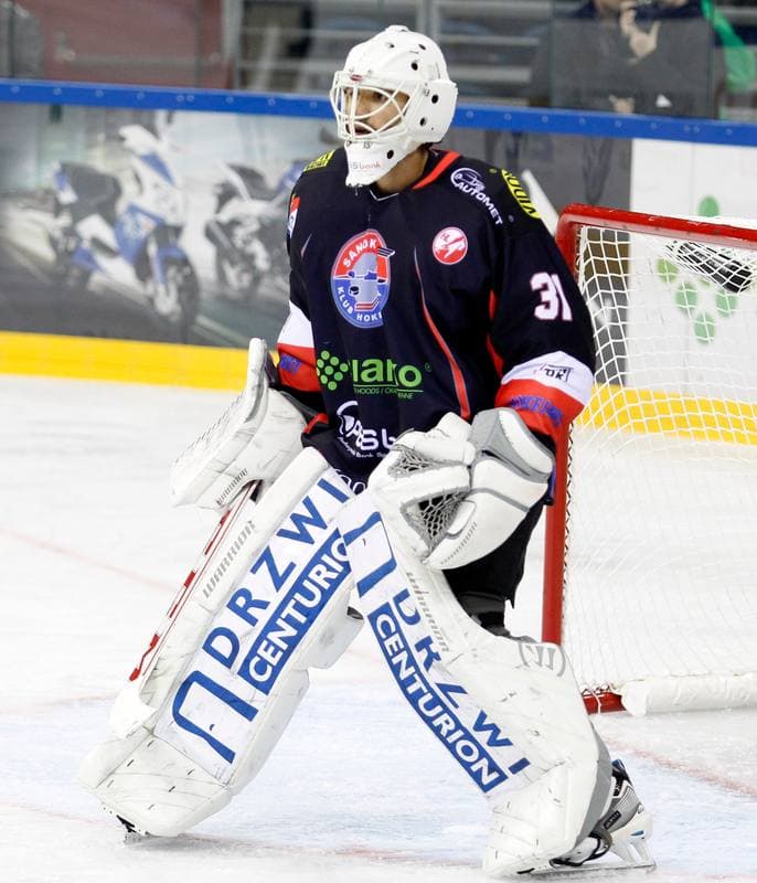 Ice Hockey. Polish Hockey Cup. Comarch Cracovia Krakow - Ciarko KH Sanok. 27.12.2014