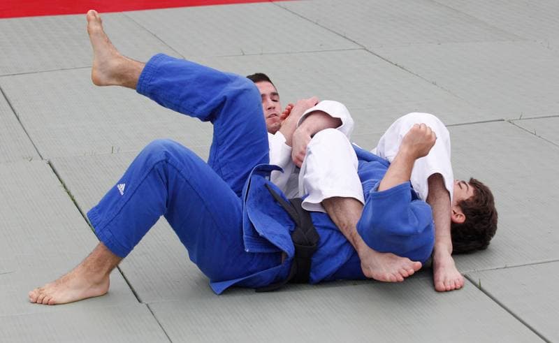Judo. XVI Olympijski Piknik. 14.09.2014