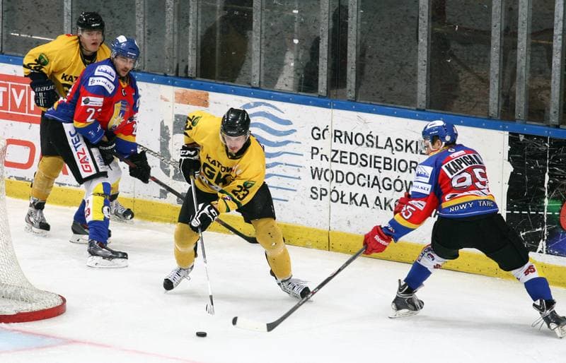 Ice Hockey. Polska Hokej Liga. HC GKS Katowice - Podhale Nowy Targ. 25.02.2014
