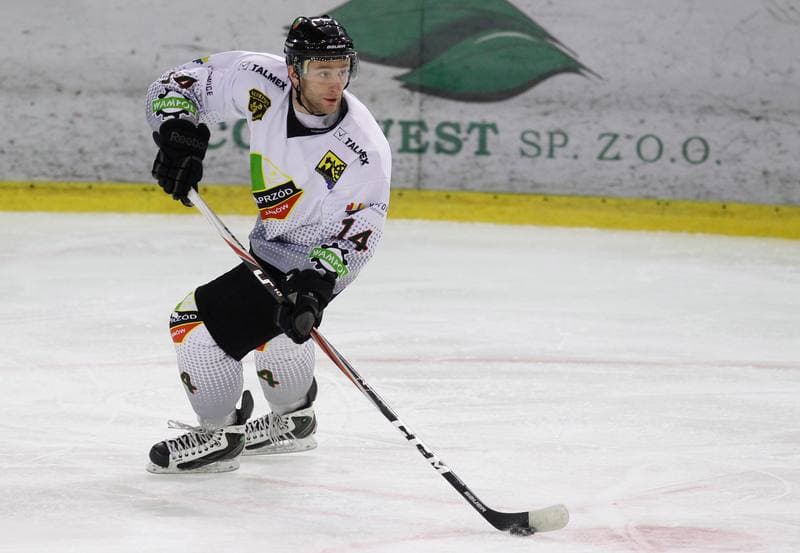 Ice Hockey. Polska Hokej Liga. Naprzod Janow - HC GKS Katowice. 06.01.2015