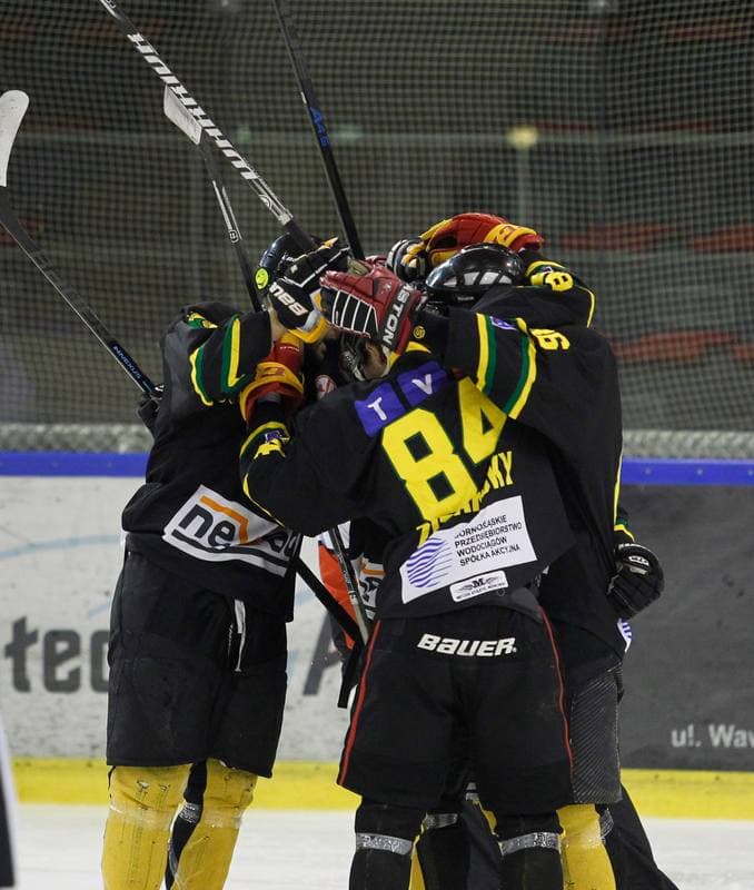 Ice Hockey. Polska Hokej Liga. Naprzod Janow - HC GKS Katowice. 06.01.2015