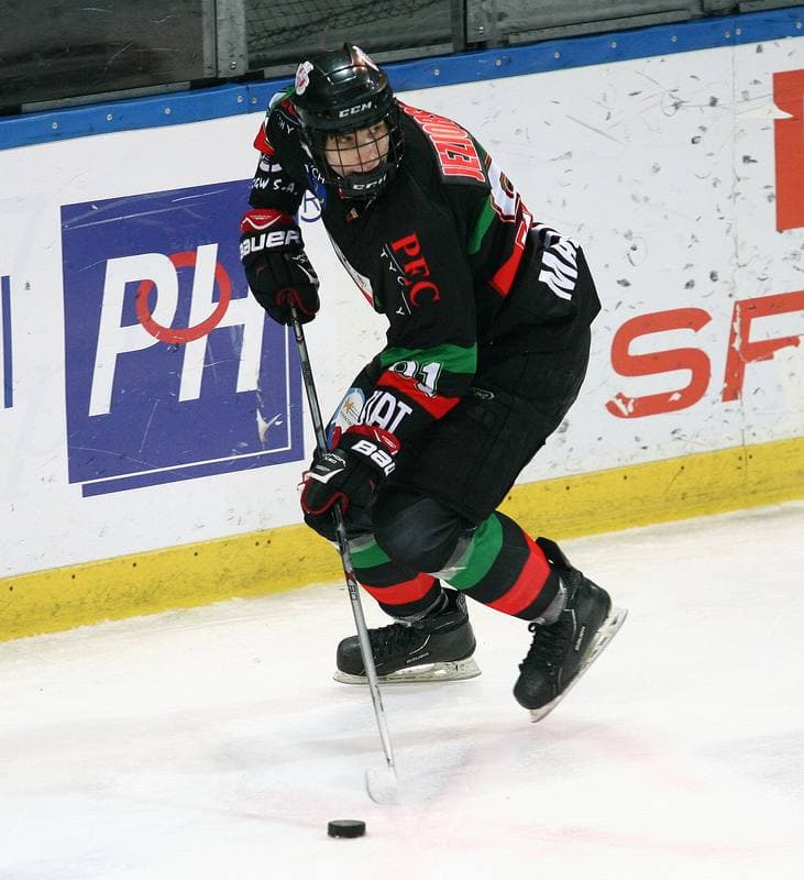 Ice Hockey. Polska Hokej Liga. HC GKS Katowice - GKS Tychy. 14.11.2014