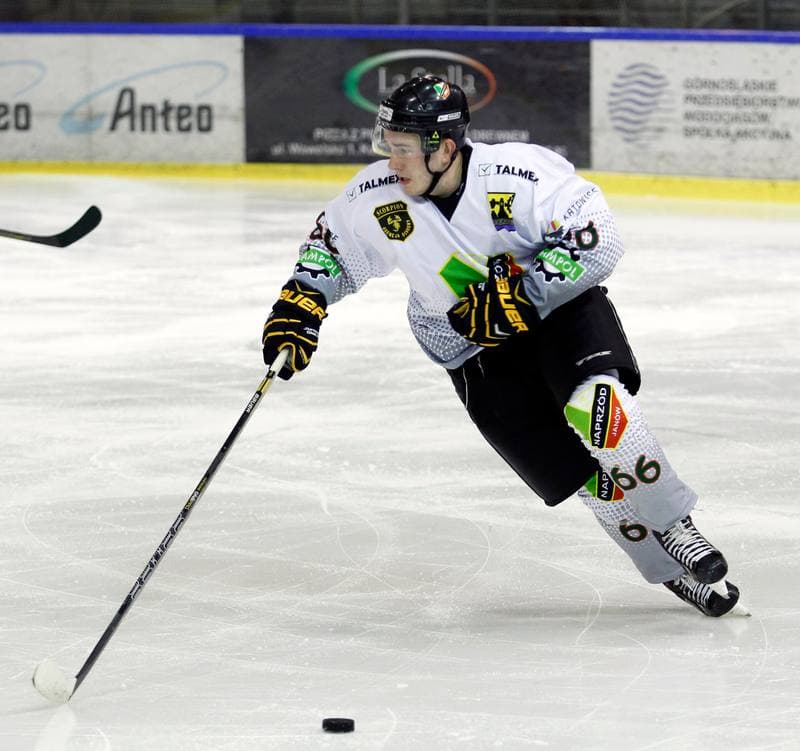 Ice Hockey. Polska Hokej Liga. Naprzod Janow - Unia Oswiecim. 26.10.2014