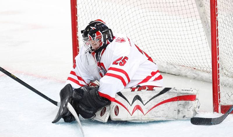 Ice Hockey. U18 Women's World Championship Division I. Poland - Italy. 19.01.2015