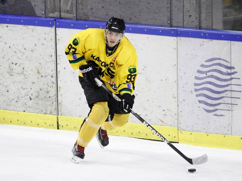 Ice Hockey. Polska Hokej Liga. HC GKS Katowice - Polonia Bytom. 26.01.2014