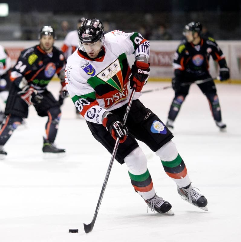 Ice Hockey. Polska Hokej Liga. GKS Tychy - Ciarko KH Sanok. 23.01.2015