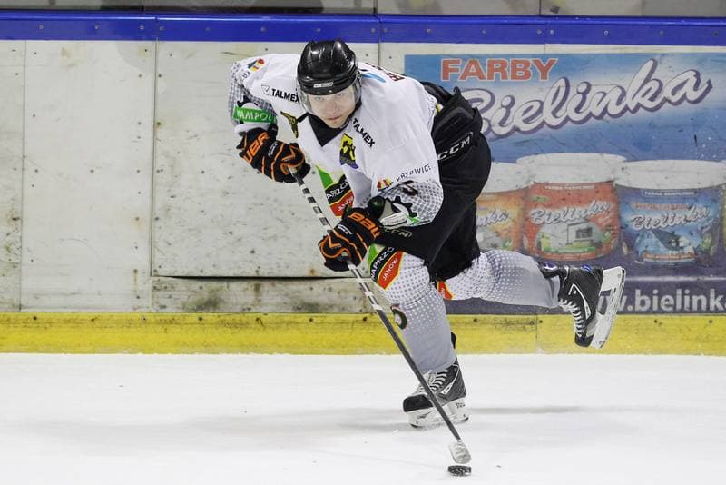 Ice Hockey. Tauron Hokej Liga. Naprzod Janow - Podhale Nowy Targ. 14.11.2014
