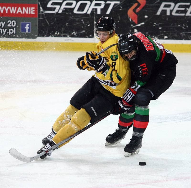 Ice Hockey. Polska Hokej Liga. HC GKS Katowice - GKS Tychy. 14.11.2014