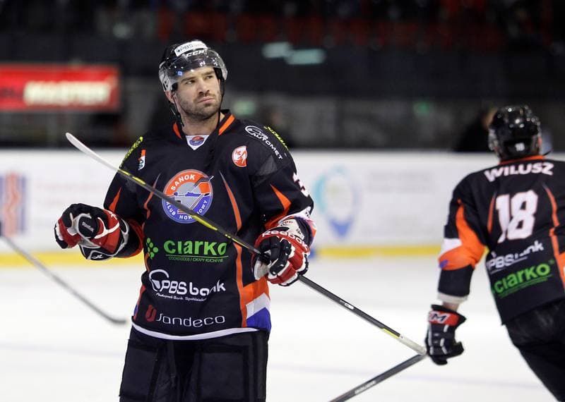 Ice Hockey. Polska Hokej Liga. GKS Tychy - Ciarko KH Sanok. 23.01.2015