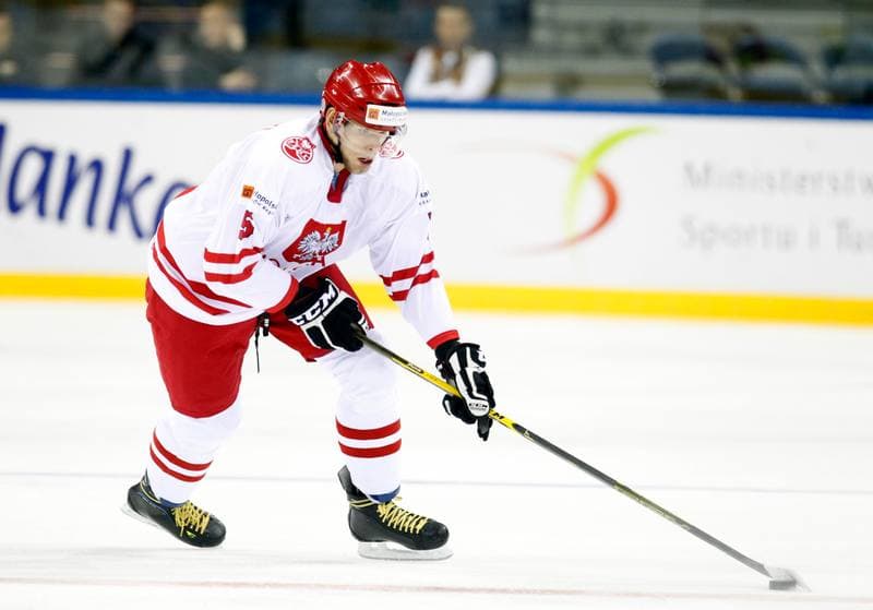 Ice Hockey. IIHF World Championship Division 1A. Poland - Ukraine. 22.04.2015