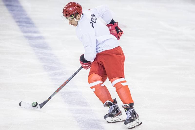 Ice Hockey. Poland national team. Training. 15.04.2021