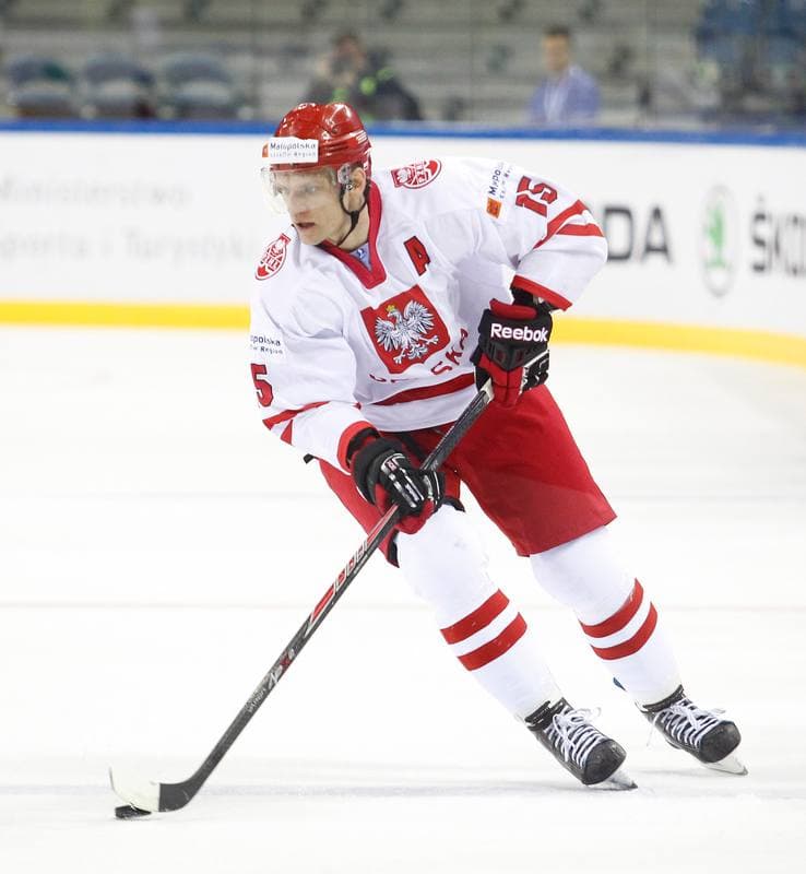 Ice Hockey. IIHF World Championship Division 1A. Poland - Ukraine. 22.04.2015