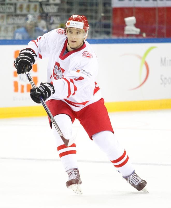 Ice Hockey. IIHF World Championship Division 1A. Poland - Kazakhstan. 23.04.2015