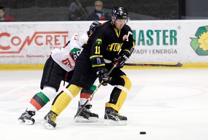 Ice Hockey. Polska Hokej Liga. GKS Tychy - HC GKS Katowice. 25.10.2013