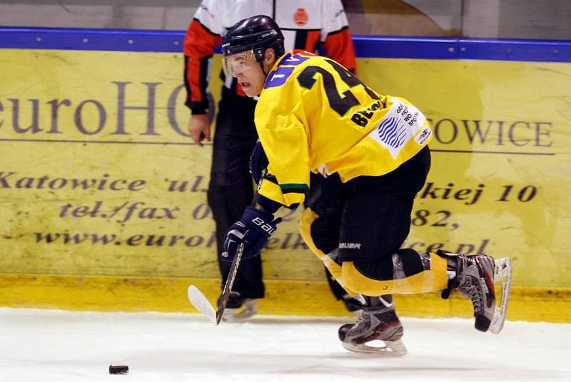 Ice Hockey. Polska Hokej Liga. HC GKS Katowice - Cracovia Krakow. 19.10.2014