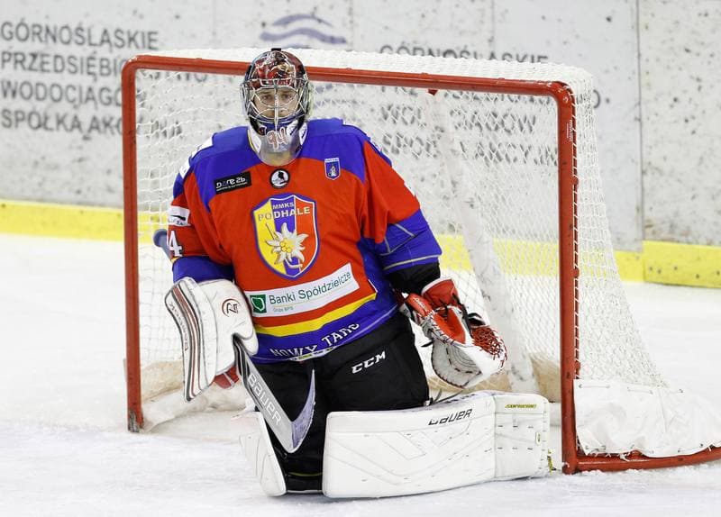 Ice Hockey. Tauron Hokej Liga. Naprzod Janow - Podhale Nowy Targ. 14.11.2014