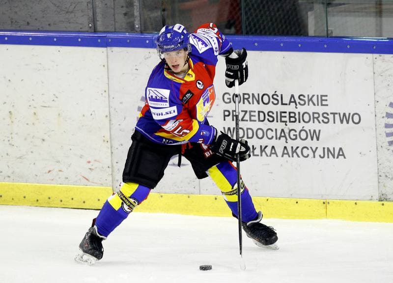 Ice Hockey. Tauron Hokej Liga. Naprzod Janow - Podhale Nowy Targ. 14.11.2014