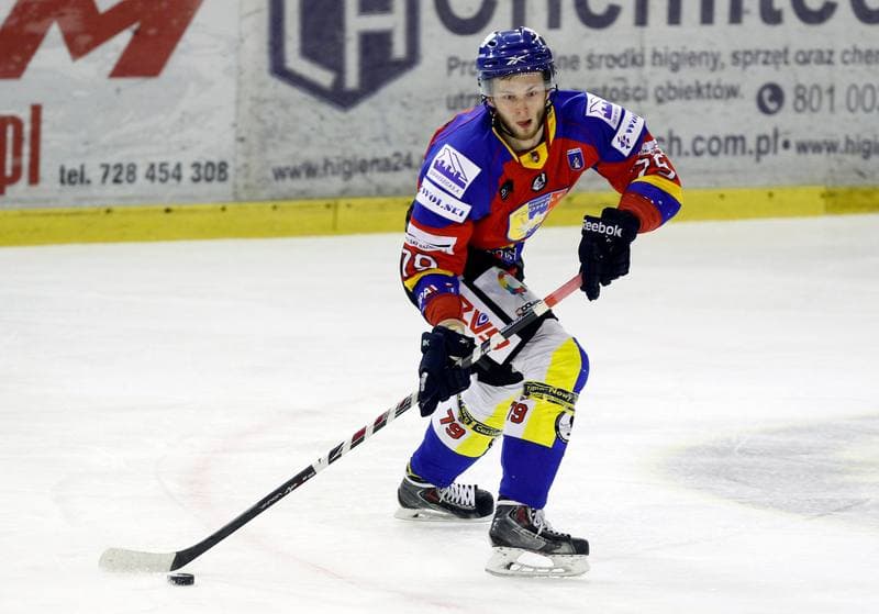 Ice Hockey. Tauron Hokej Liga. Naprzod Janow - Podhale Nowy Targ. 14.11.2014