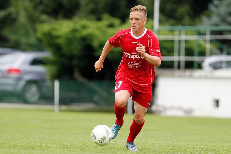 Football. Sparing. Podbeskidzie Bielsko-Biala - FK Trinec. 16.07.2016