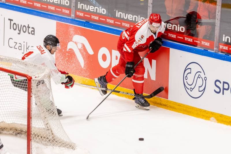 Ice Hockey. Friendly Match. Poland - Hungary. 20.04.2023