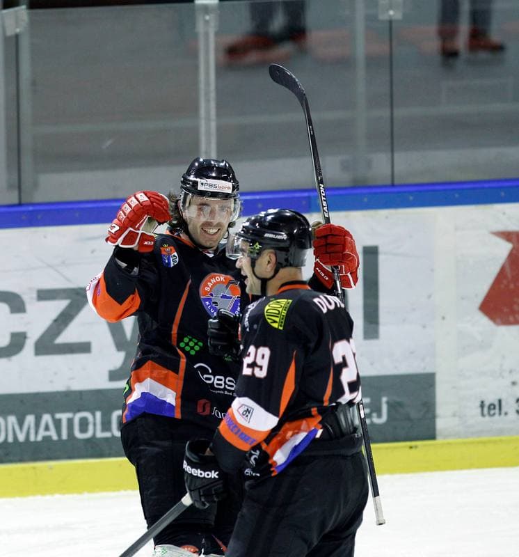Ice Hockey. Polska Hokej Liga. Naprzod Janow - Ciarko KH Sanok. 18.01.2015