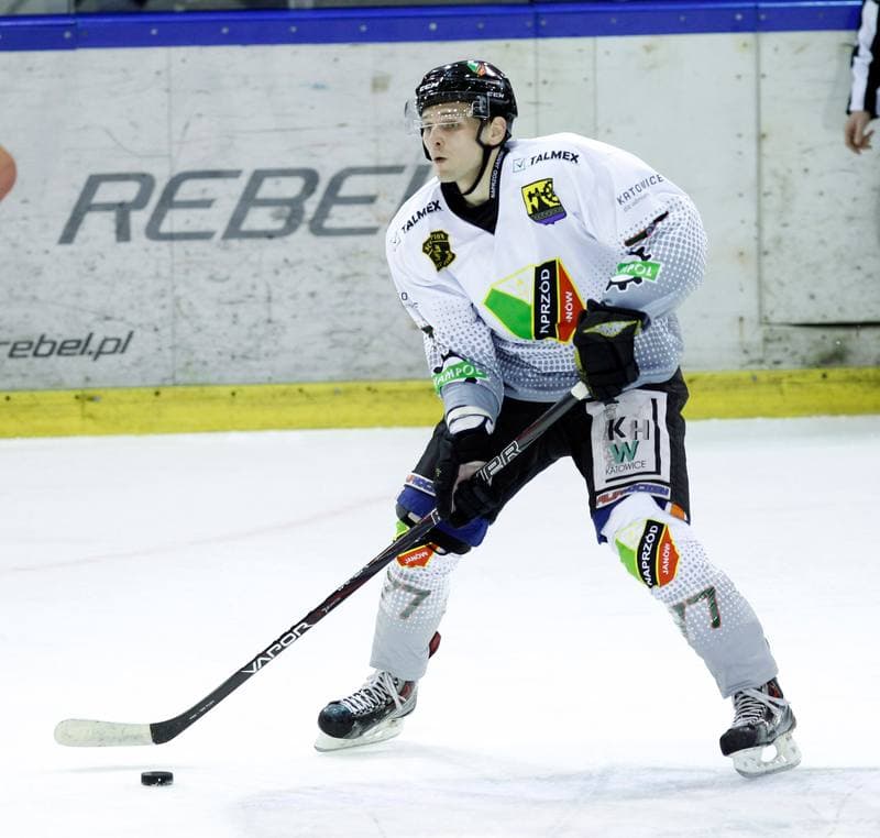 Ice Hockey. Polska Hokej Liga. Naprzod Janow - Ciarko KH Sanok. 18.01.2015