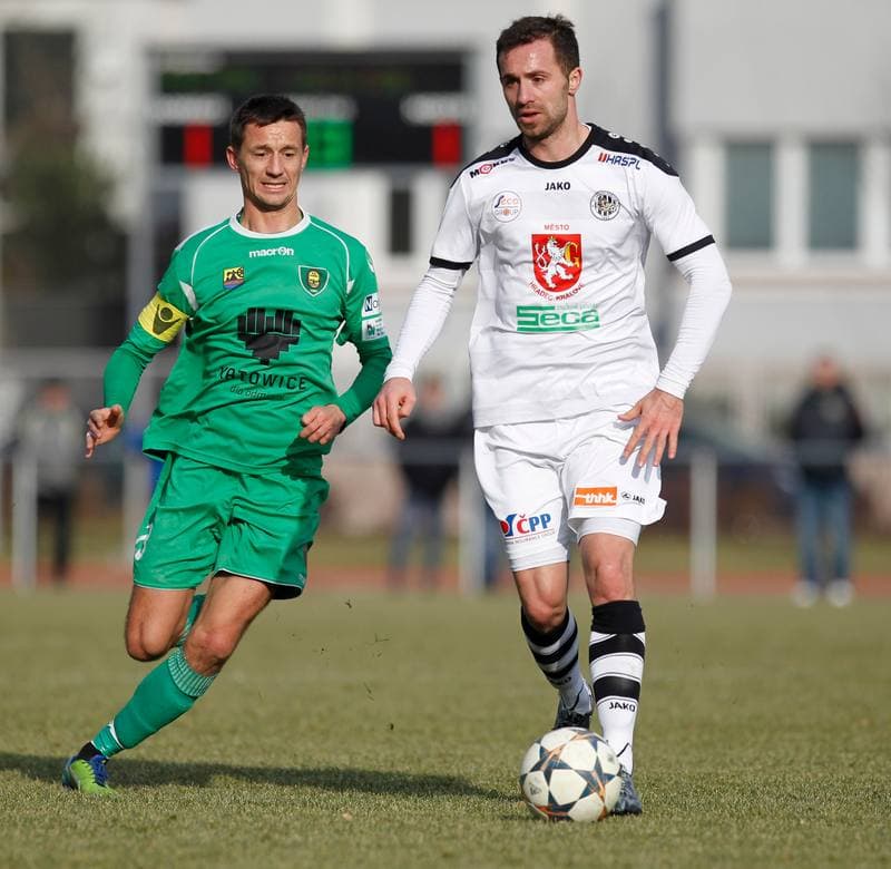 Football. Friendly Match. FC Hradec Kralove - GKS Katowice. 14.02.2015