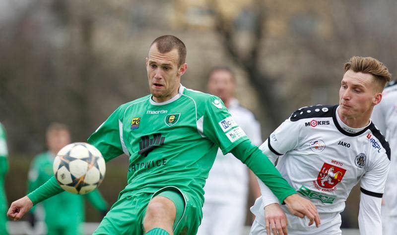 Football. Friendly Match. FC Hradec Kralove - GKS Katowice. 14.02.2015