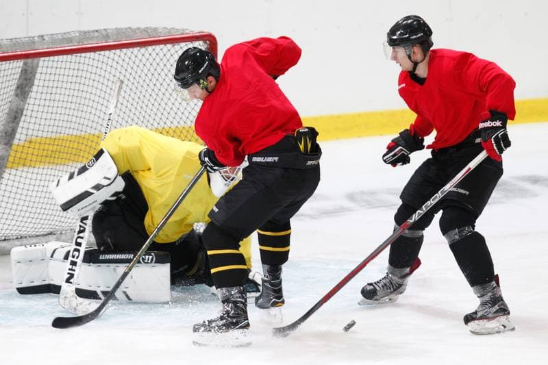 Ice Hockey. KH GKS Katowice. Training. 22.09.2016