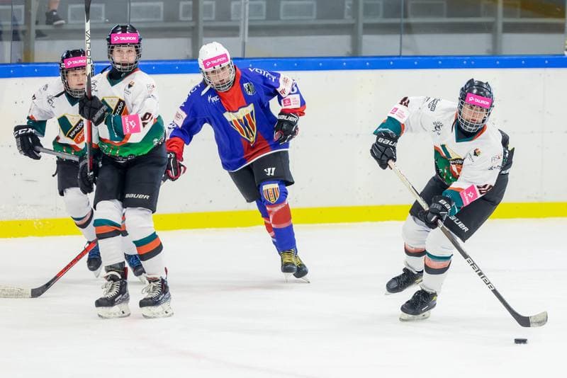Ice Hockey. Tauron Liga Kobiet. Kojotki Naprzod Janow - SMS Polonia Bytom. 09.09.2023
