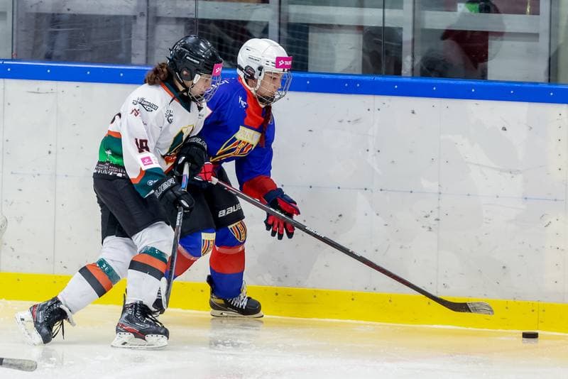 Ice Hockey. Tauron Liga Kobiet. Kojotki Naprzod Janow - SMS Polonia Bytom. 09.09.2023