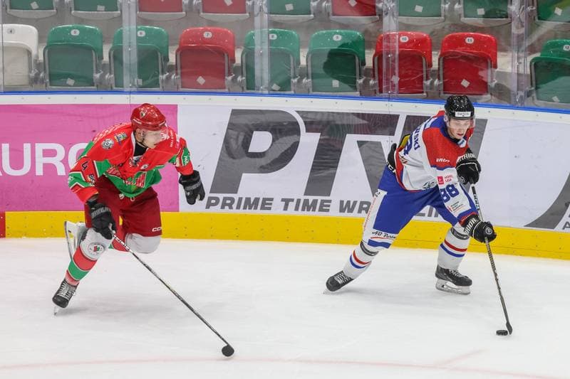 Ice Hockey. Tauron Hokej Liga. Zaglebie Sosnowiec - Marma Ciarko STS Sanok. 17.09.2023