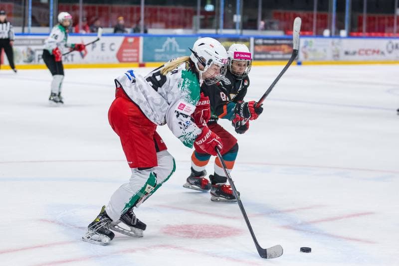 Ice Hockey. Tauron Liga. Atomowki GKS Tychy - Kojotki Naprzod Janow. 29.10.2023