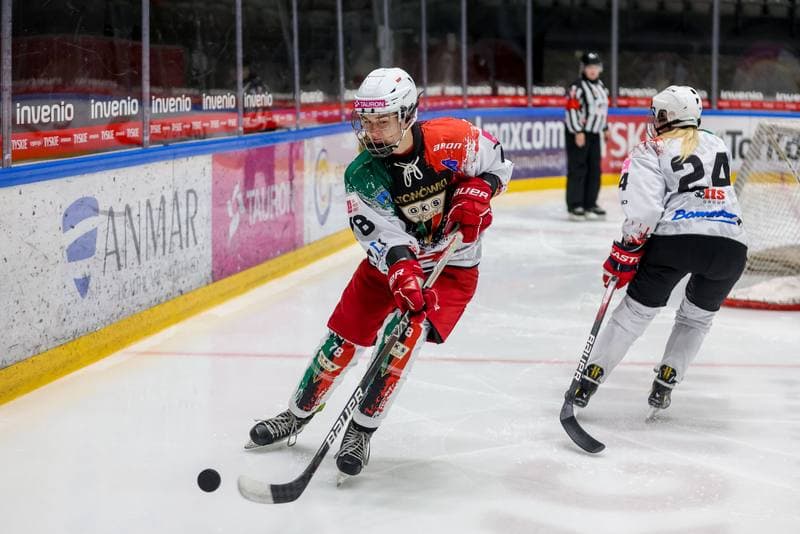 Ice Hockey. Tauron Liga. Atomowki GKS Tychy - Kojotki Naprzod Janow. 29.10.2023