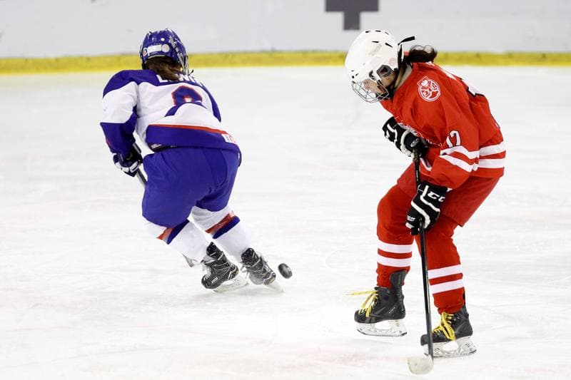 Ice Hockey. U18 Women's World Championship. Poland - Great Britain. 11.01.2017