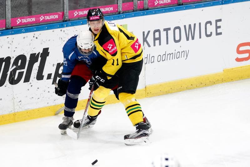 Ice Hockey. Polska Hokej Liga. KH Tauron GKS Katowice - SMS PZHL Sosnowiec. 13.01.2017