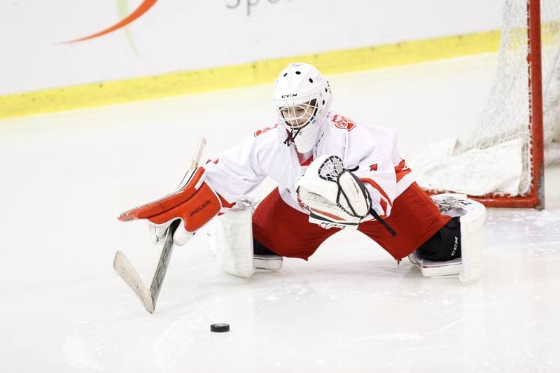 Ice Hockey. U18 Women's World Championship. Poland - China. 14.01.2017